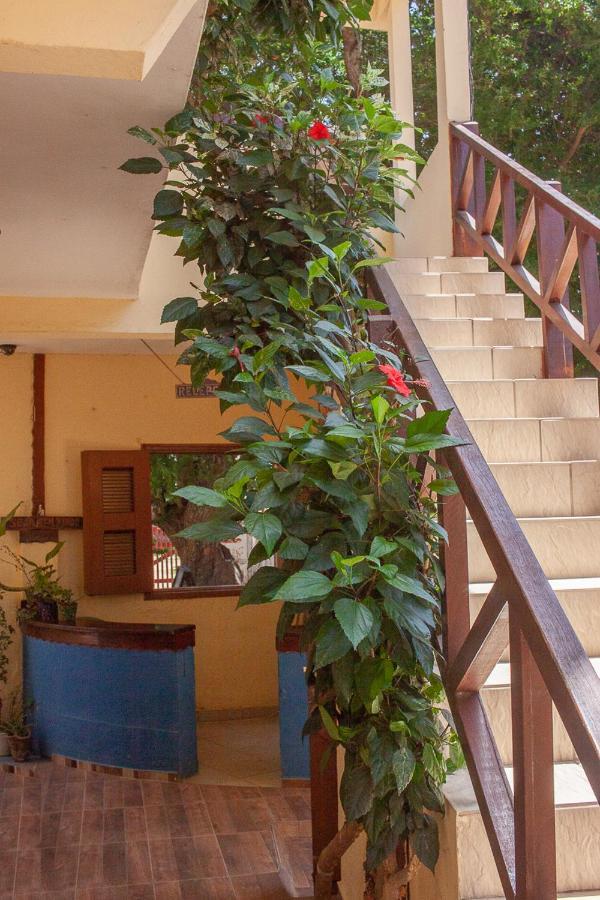 Hotel Portadosoljeri Jijoca de Jericoacoara Exteriér fotografie